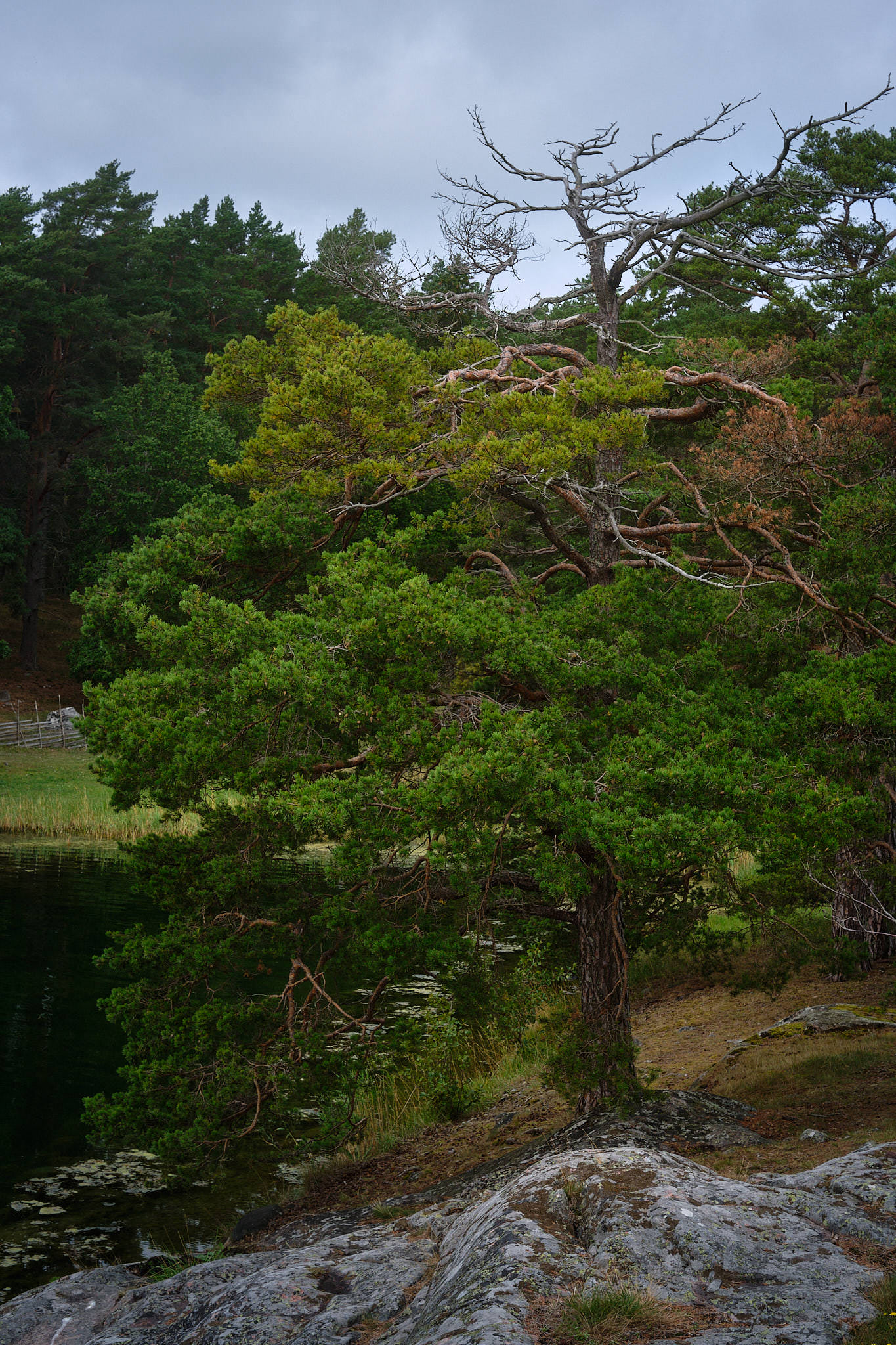 Schweden / Sweden